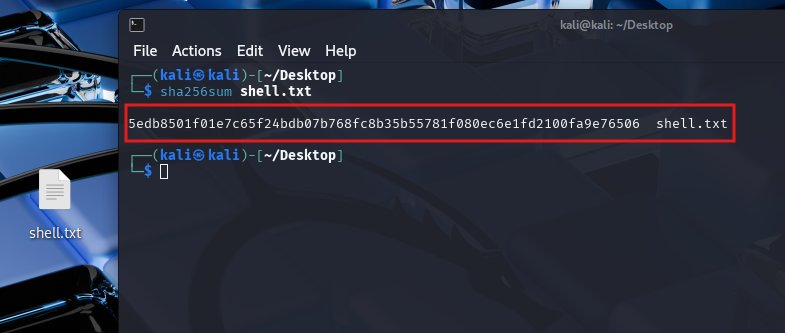 sha256sum of shell.txt
